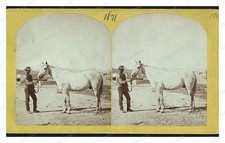 Man and Horse Standard Postcard COPY RPPC picture