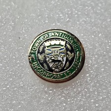 Town of Antigonish Nova Scotia Canada Lapel Pin Crest Gold Green Round Vintage picture