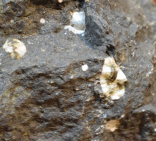 MINNESOTA NORTH SHORE THOMSONITE IN BASALT MATRIX 4lbs 8oz ROCK HOUND SPECIMEN picture