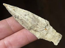 EXCEPTIONAL HOLLANDBERG POINT KANSAS AUTHENTIC ARROWHEAD INDIAN ARTIFACT BF picture