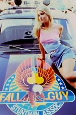 Heather Thomas in The Fall Guy 24x36 Poster picture