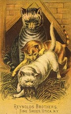 Vintage Victorian Trade Card Reynolds Brothers Fine Shoes Utica NY Cats Mouse picture