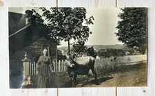 Antique Snapshot Photo Older Woman Posing With Cow & Dog White Picket Fence picture