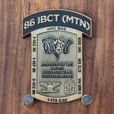 86 IBCT MTN Alpine Command Team Mountain Challenge Coin  W#20 picture