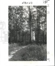 1977 Press Photo Pathway Through Brownell Memorial Park - nox07996 picture