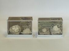 2 x  Sulfur Ball Brimstone in ash and Gypsum Sodom and Gomorrah in Display picture