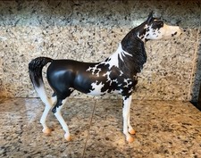 New Breyerfest 2023 ARABA Special Run SR Black & White Pinto Arabian Zafirah picture