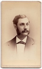 ANTIQUE CDV CIRCA 1880s A.N. HARDY HANDSOME BEARDED MAN in SUIT BOSTON MA. picture