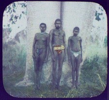 Kings Sound Australia 1895 Aboriginal Man Woman Boy by Tree Loincloths picture