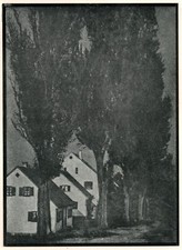 T & O HOFMEISTER, Houses and Poplars, Tipped-in Halftone Plate 1908 Pictorialism picture