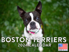 Boston Terrier Calendar 2024 Wall Calender Boston Terrier Gifts picture