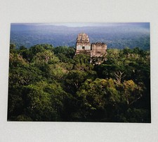Vintage Greeting Card Tikal Temple Maya Forest Guatemala David Hiser P1 picture
