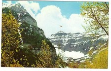 Mt Timpanogos from Aspen Glen, Utah, c1950's Unused Postcard, 11,957 Feet picture