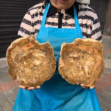 2pcs 6.66LB Natural Petrified Wood Crystal Fossil Slice Shape Specimen Healing picture
