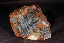 Polished Turkish Dendritic Agate Pair picture