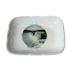AMERICAN FALL - GOAT ISLAND NY NEW YORK Souvenir ANTIQUE CHINA DISH picture