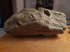 LARGE DRUSY, FOSSILIZED WOOD-10.2 LBS. picture