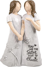 Gifts for Women Friendship, Best Friend Statue Sister I Got to Choose, Arm in Ar picture