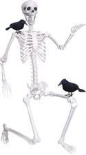 Wocst 6Ft Life Size Skeleton Posable Skeleton with Movable Joints Halloween Full picture