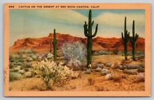 Postcard CA Cactus On The Desert At Red Rock Canyon Linen A5 picture