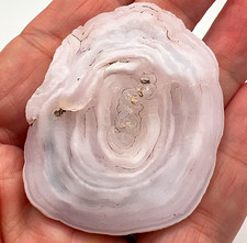 Botryoidal Chalcedony Agate Eye Rosette Mineral Specimen Pale Pink White 16g picture