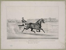 Photo:Milton MA Smuggler Champion Trotting Stallion 1876 Horse Racing picture