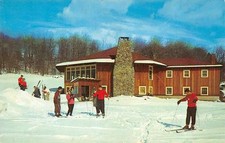 GROSSINGER, NY New York THE SKI LODGE-Skiers Outside Roadside Postcard picture