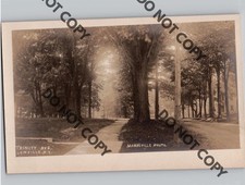 c1905 Trinity Ave Tree Lined Street Lowville New York NY RPPC Mandeville Postcar picture