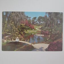Cypress Gardens FL Florida Tropical Vegetation Palms Vintage Chrome Postcard picture