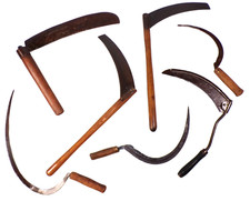 Antique Early 1900s Maine Hand Sickles - Collection of 7 Rustic Wall Decor picture