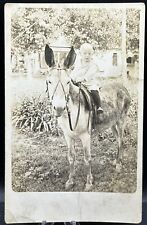 Antique Baby Riding Donkey Postcard picture