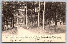1905 Lovers Lane Sacandaga Park NY Real Photo Postcard Rppc picture