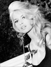 Brigitte Bardot Sensual Wearing Her Elegant Hair 8x10 Photo Print picture