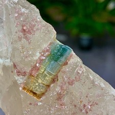120G Natural green tourmaline quartz crystal cluster mineral specimen picture