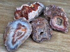 Rough Baby Malawi Agate Lot of 4/ Small Natural Banded Nodules picture