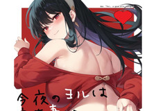 SPY× Family full color fanbook A4/28P Yor Forger nightly role as a good wife picture