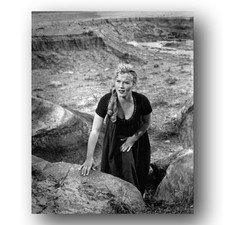 Denise Darcel Photo 8x10 Portrait Glamour Studio Shot picture