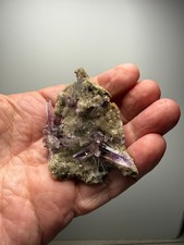 Love the Guerrero Amethyst This sweet cluster is only $29 picture