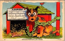 Cedar Lake Indiana Doghouse Humor Postcard 4P22-12 picture