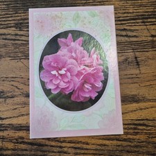 Vintage Get Well Soon Greeting Cards Set Envelopes Floral Rose Dogwood 10 Pack picture