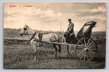 1909 Quebec Canada Man Horse and Carriage Postcard picture