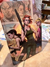 Fables: the Deluxe Edition Volume #10 (DC Comics 2015)  HC OOP HTF RARE (No DJ) picture