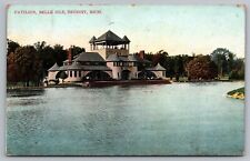 Pavilion Belle Isle Detroit Michigan MI Postcard picture