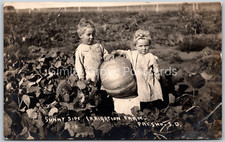 RPPC Kids with BIG Pumpkin Sunny Side Irrigation Farm PRESHO SD ANTIQUE Postcard picture
