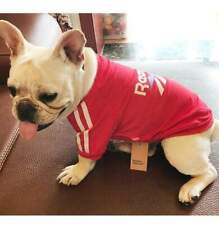 Nice Reebok Top for Dog - Puppy picture