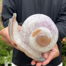 3LB   Hand Carved Agate Amethyst Druzy Snail Crystal Animal Statue Healing Decor picture