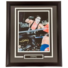 Sting Autographed WCW Wrestling (Flying in Air) Deluxe Framed 11x14 Photo - JSA picture