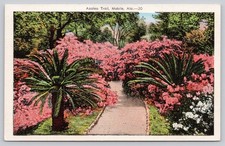 Vintage Linen Postcard Azalea Trail Mobile Alabama Floral Pathway picture
