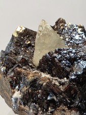 Gemmy Calcite Crystal on Ruby Jack Sphalerite Matrix Elmwood Mine TN Mineral 9cm picture