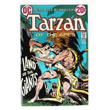 Tarzan (1972 series) #211 in Near Mint minus condition. DC comics [t& picture